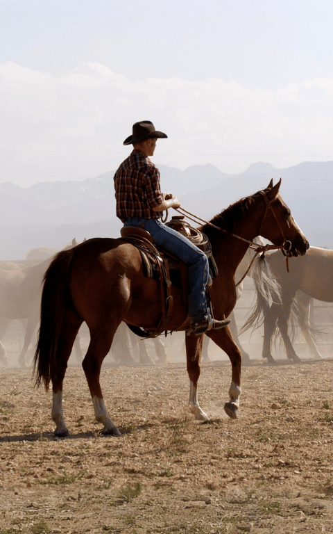 Cowboy Gifts For Him